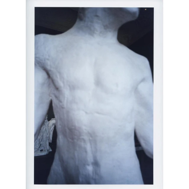 Artistic photographic shot of a bare-chested, white sculpture or plaster model of a male torso against a dark, indistinct background.