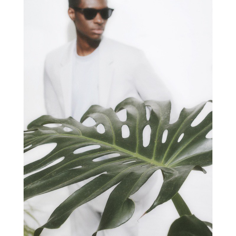 Stylish man in sunglasses and a light suit poses behind a monstera plant leaf against a bright, clean white background in a studio.