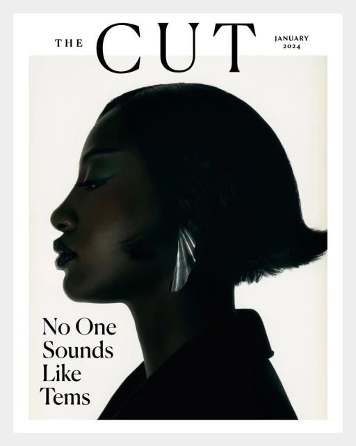 The Cut magazine cover, January 2024, features a profile of a dark-skinned woman with dark hair and a large earring. 