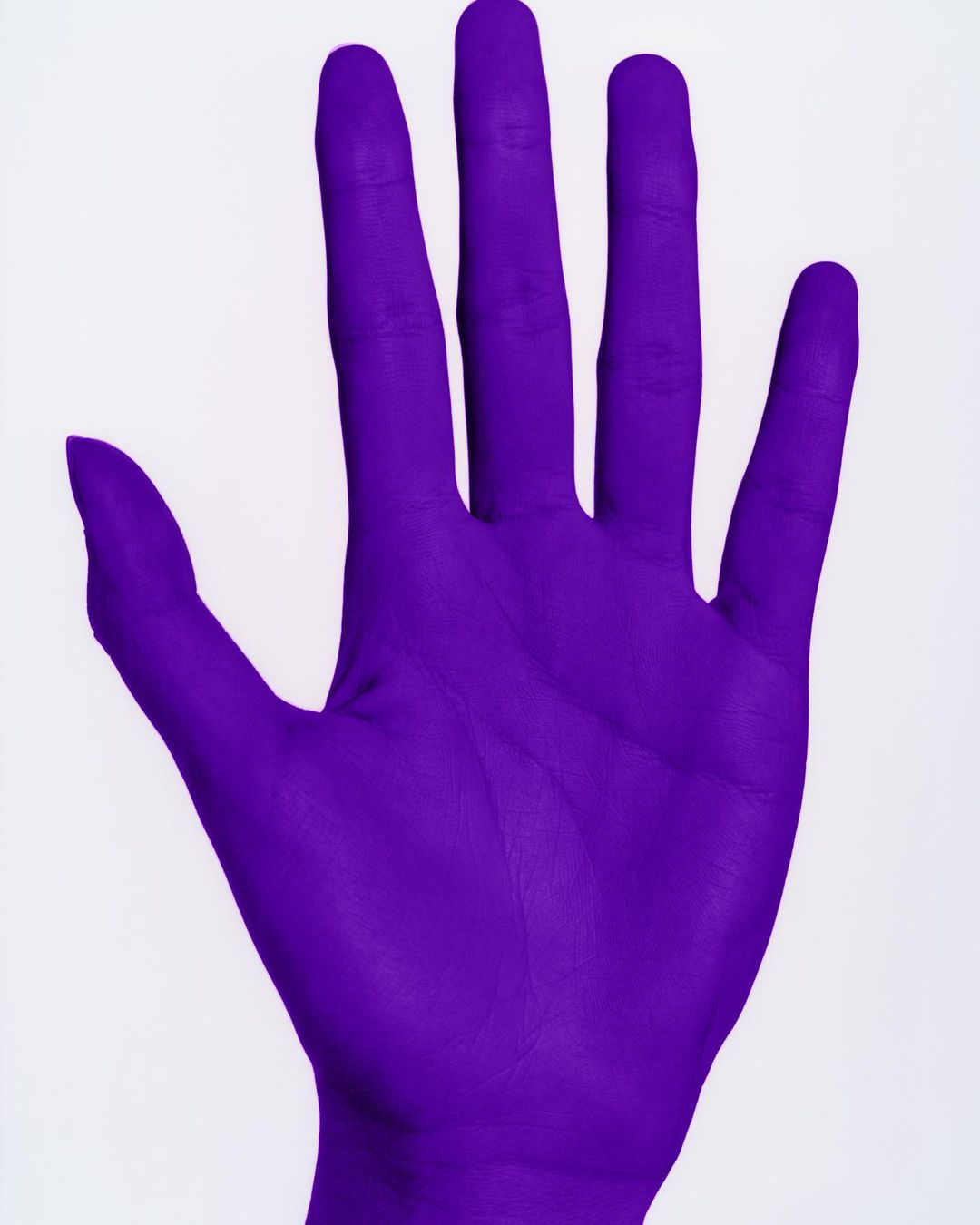 Close-up studio shot of a vibrant purple-painted human hand against a clean white background, emphasizing color and form.