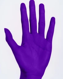 Close-up studio portrait of a hand painted entirely in vibrant purple against a solid white background by photographer Andrew Vowles.
