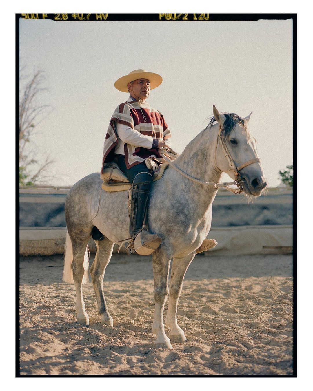 Elderly gaucho in traditional poncho rides a gray horse in sunlit arena, wearing a straw hat and boots, against a clear sky background.