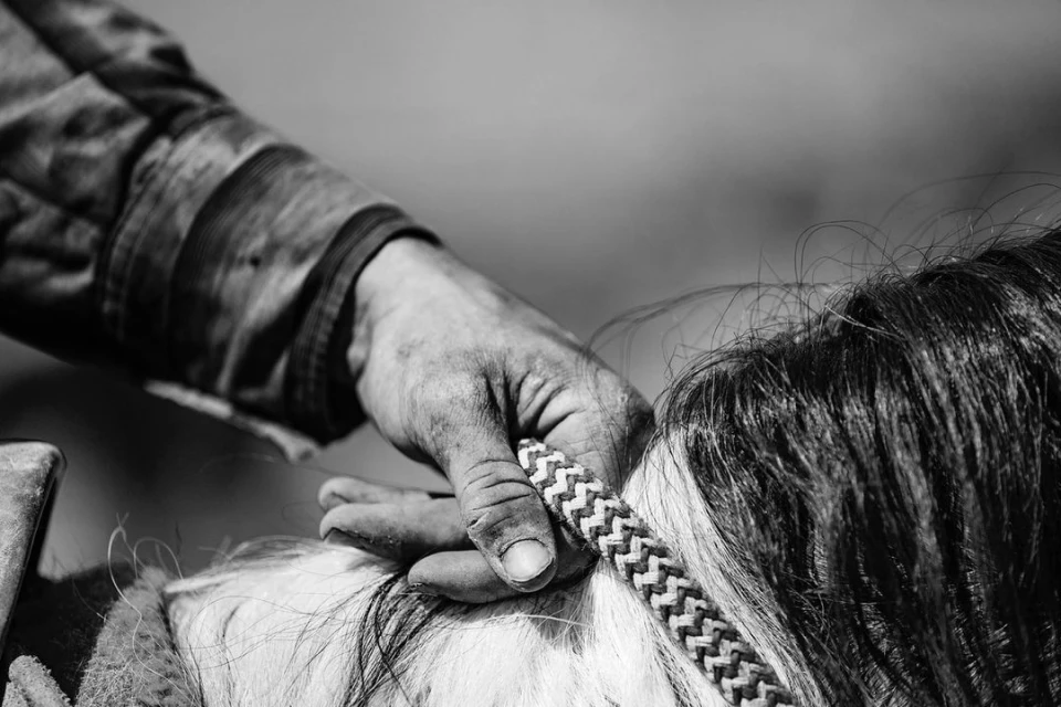 Close-up of a person's hand holding a woven rope resting on a horse's mane, black and white, shot outdoors.
