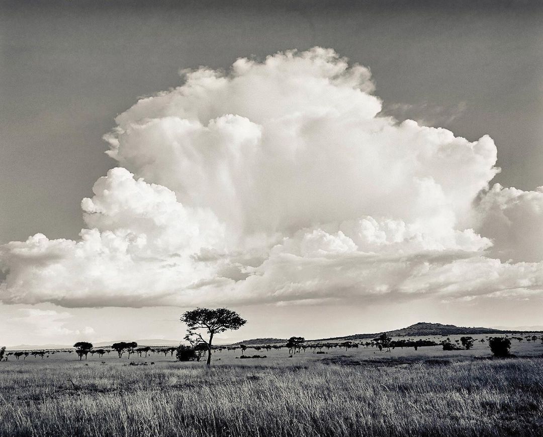 Monochrome landscape of the African savanna featuring a vast sky with cumulonimbus clouds and scattered acacia trees on a grassy plain.