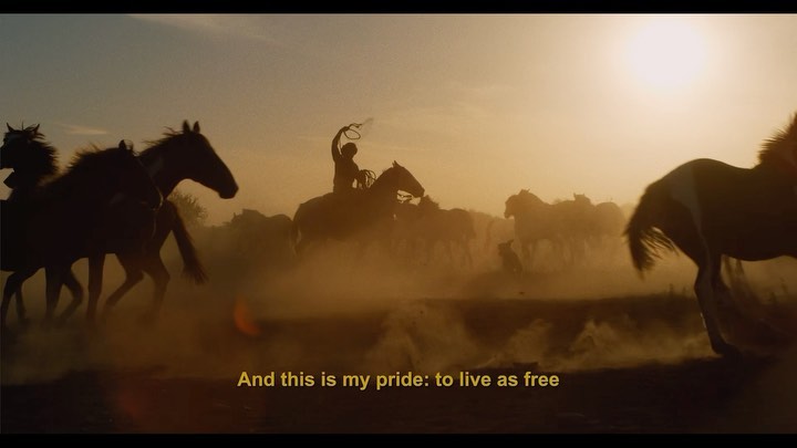 Silhouetted rider on horseback gallops through a dusty field with a herd of horses at golden hour, bathed in the warm glow of the setting sun.