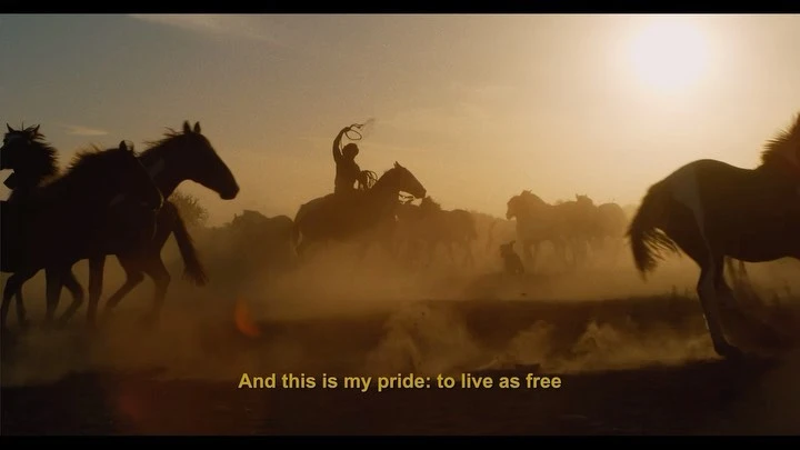 Silhouetted rider on horseback gallops through a dusty field with a herd of horses at golden hour, bathed in the warm glow of the setting sun.