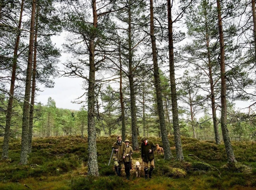Three adult males walking through a forest with a dog, dressed in tweed jackets and hats, carrying a rifle, on an overcast day.