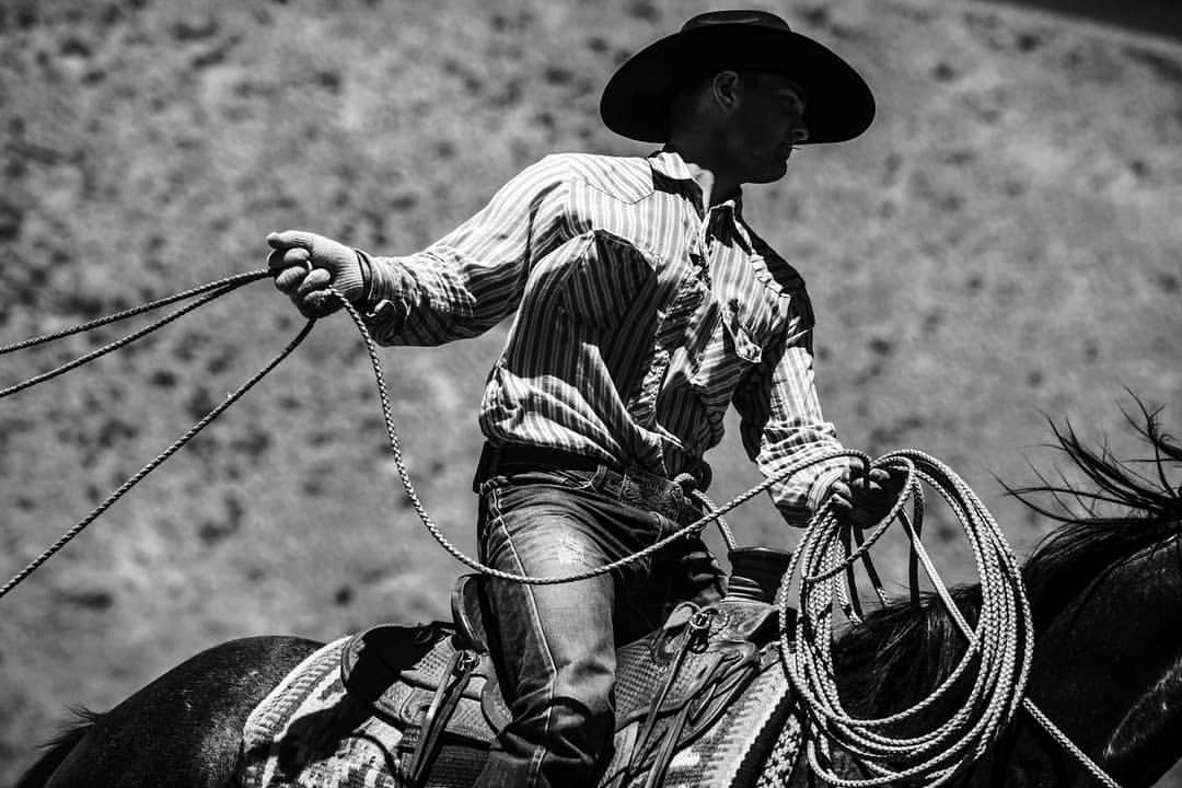 Cowboy rides horse with lasso against neutral background. Man wears a cowboy hat, striped shirt, and jeans in this monochrome outdoor shot.