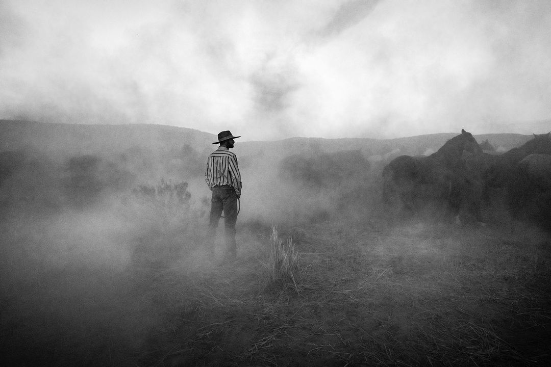Monochrome portrait of a cowboy in a striped shirt and hat standing in a hazy rural landscape looking at cattle herd.