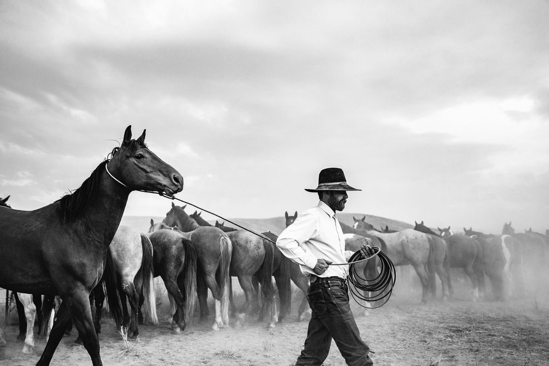 Monochrome outdoor shot of a cowboy leading a horse with a herd in the background under a cloudy sky in a rural environment.
