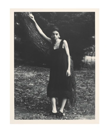 A solitary woman in a black dress poses beside a tree in a moody outdoor fashion shot with monochromatic tones and natural light.