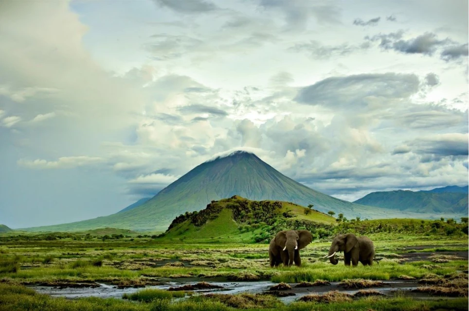 Two elephants graze in a lush green plain with a cloud-covered mountain in the background, under a bright, cloudy sky in a nature scene.
