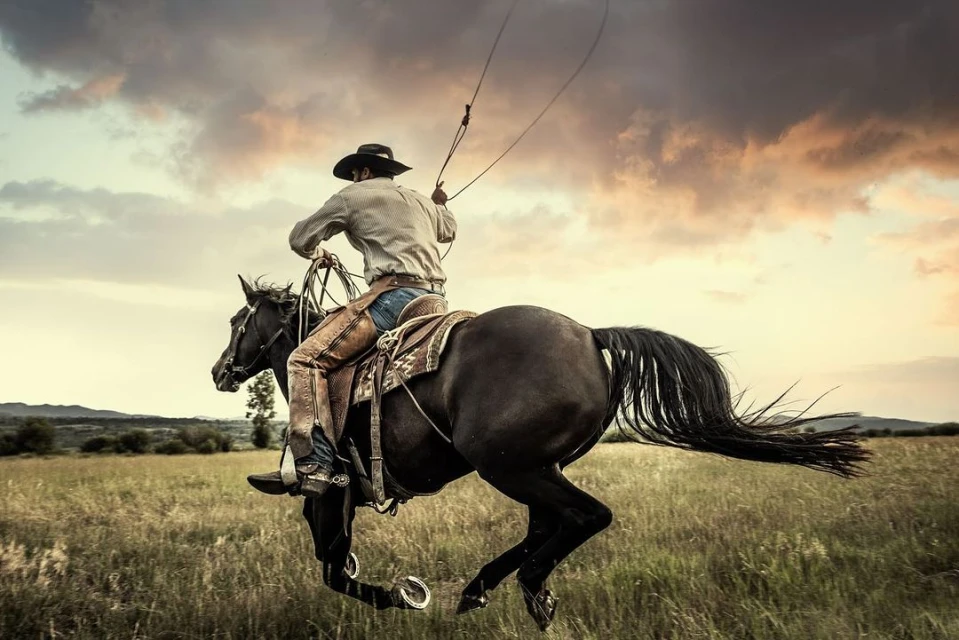 Cowboy rides a black horse quickly across a grassy field beneath a cloudy sky, holding a lasso. Western lifestyle and rural outdoor setting.