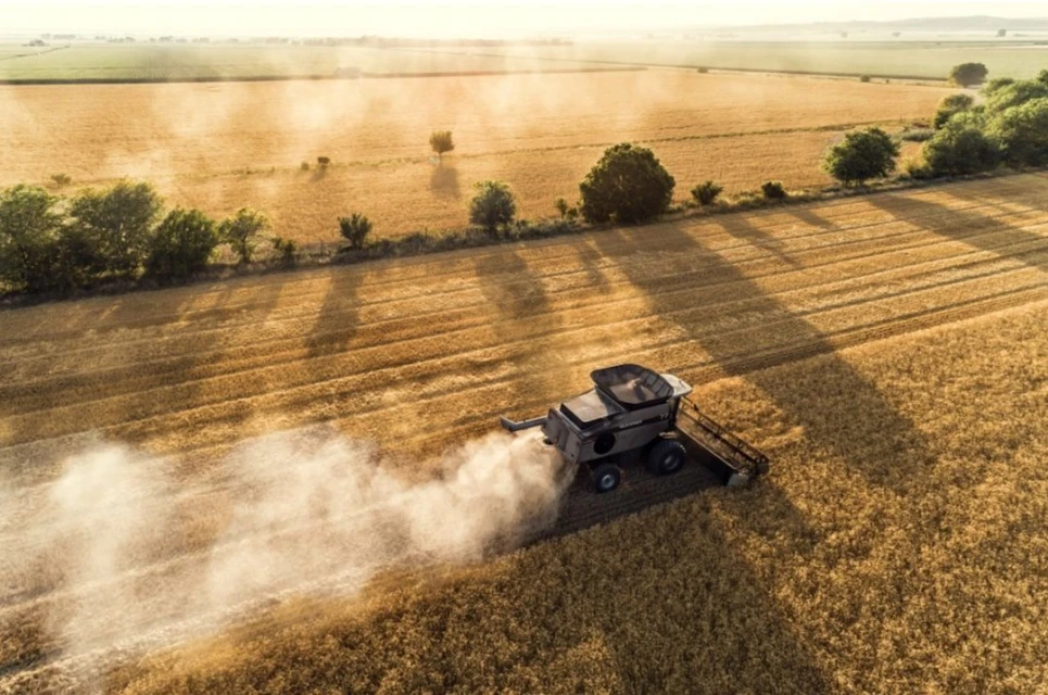 Aerial view of a combine harvester working in a golden wheat field with trees in the background, showcasing agriculture in a rural setting.