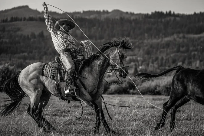 Black and white photograph of a cowboy riding a horse and swinging a lasso in a grassy field with trees in the background.