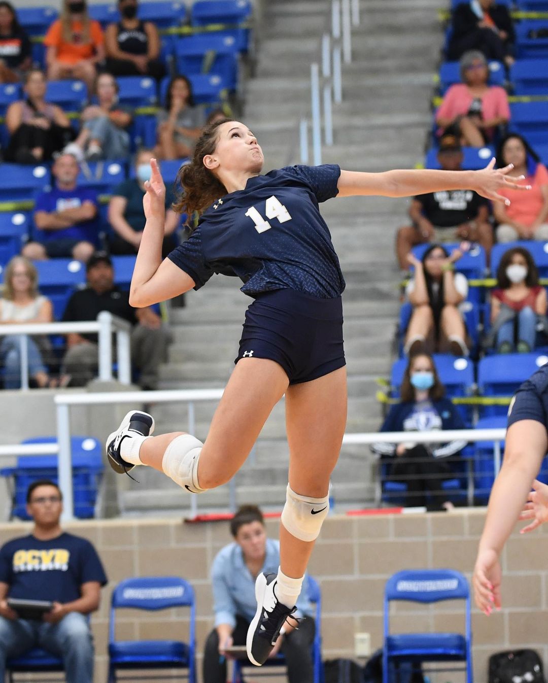 A female volleyball player in mid-air, wearing a navy jersey with number 14, preparing to spike the ball during an indoor match.