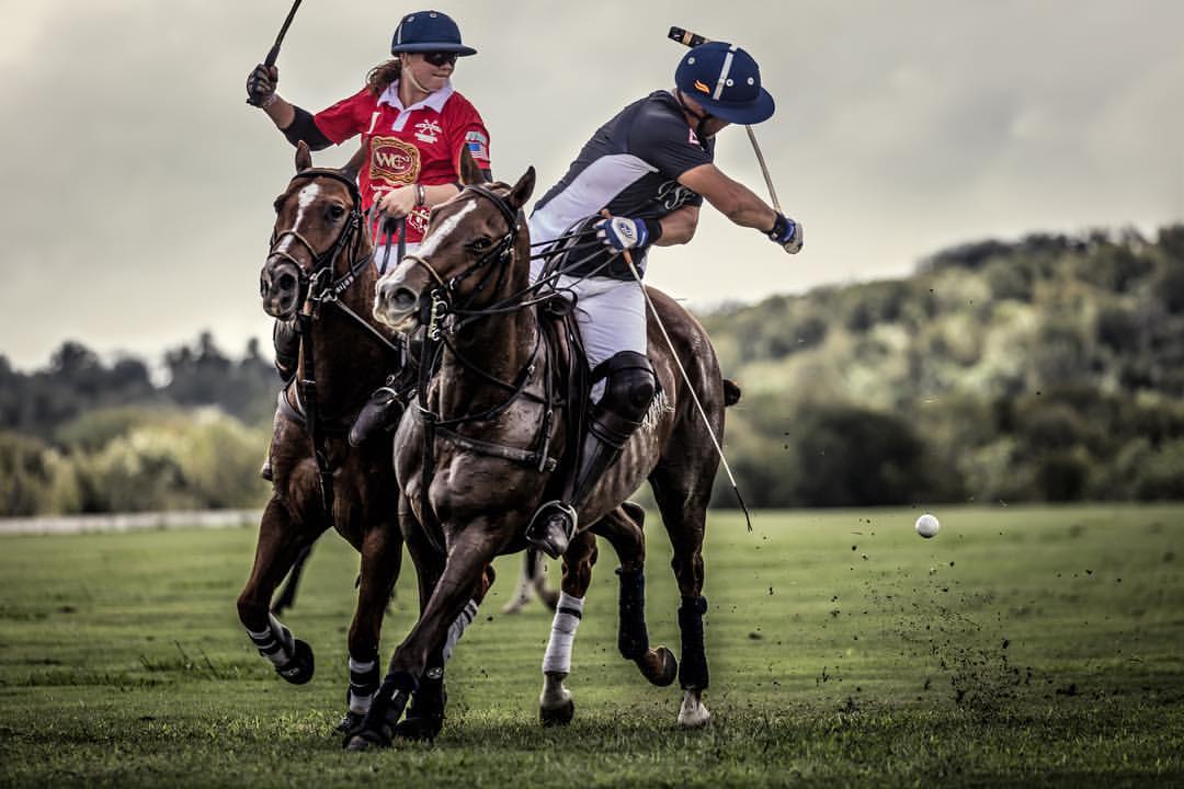 Two polo players on horseback compete on a grassy field with trees in the background during a polo match or competition.