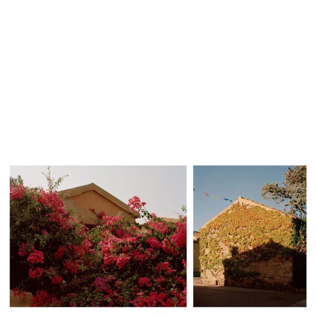 Two photographs side-by-side. One shows a building covered in red flowers; the other, a stone building with green vines against a blue sky.