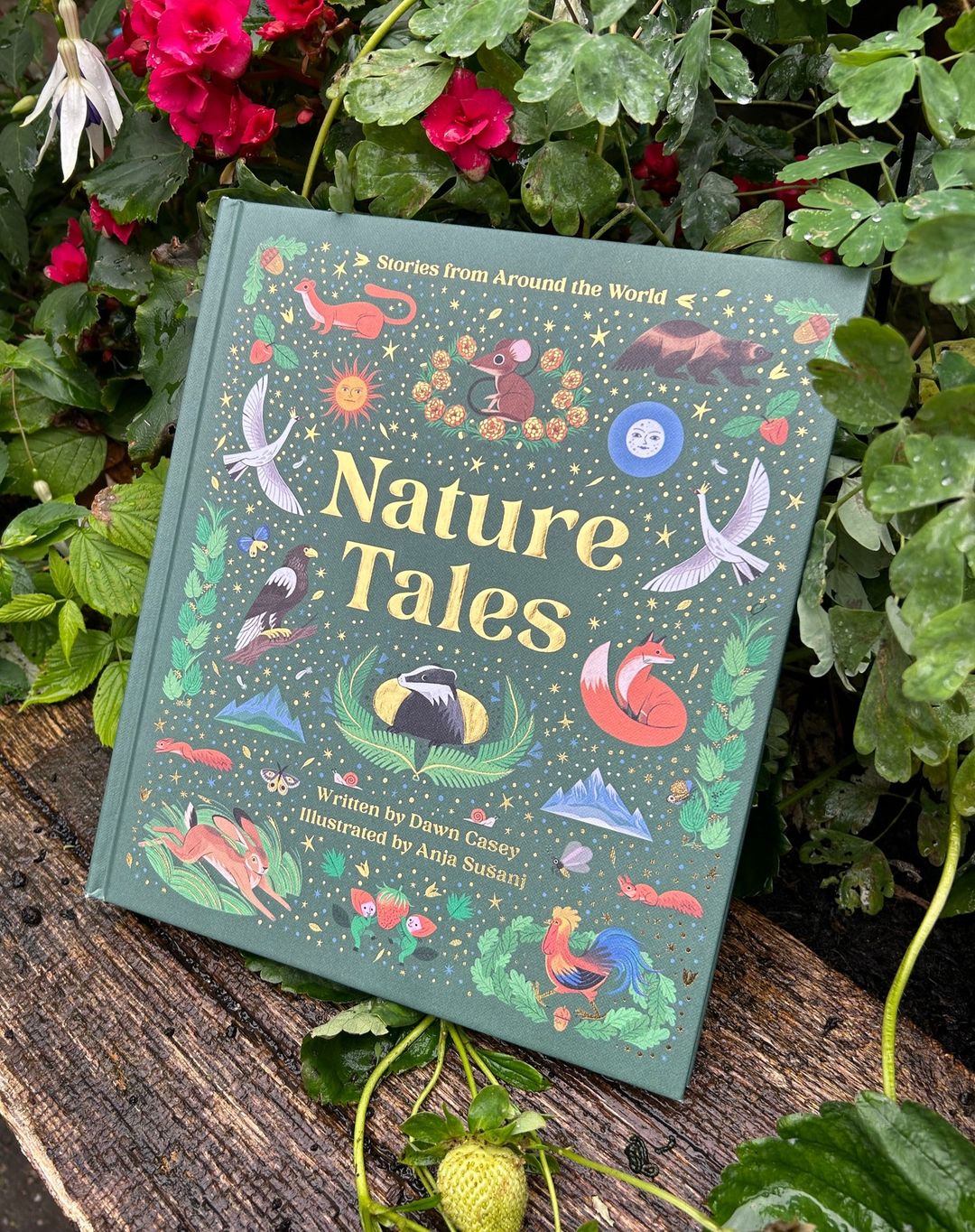 A nature-themed book titled "Nature Tales" with colourful illustrations, set amongst green leaves, red flowers and a strawberry.