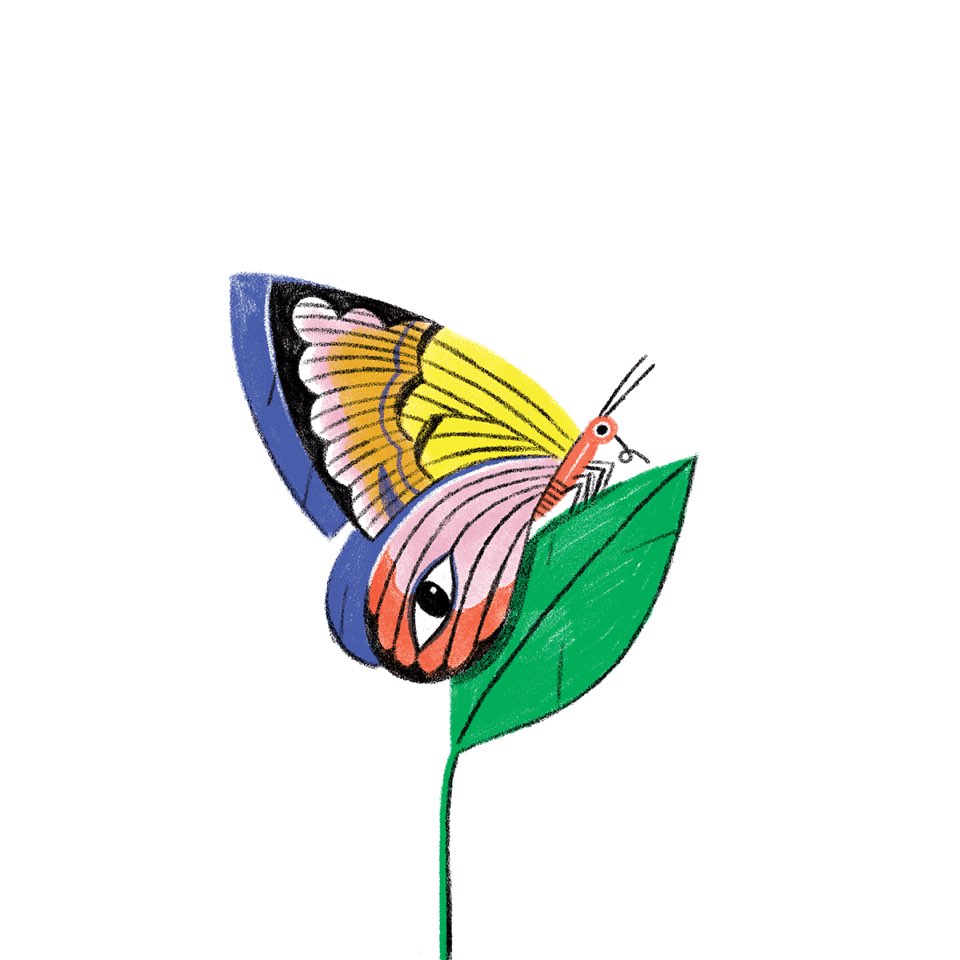 Illustration of a colorful butterfly perched on a vibrant green leaf against a clean white background, cartoon style.