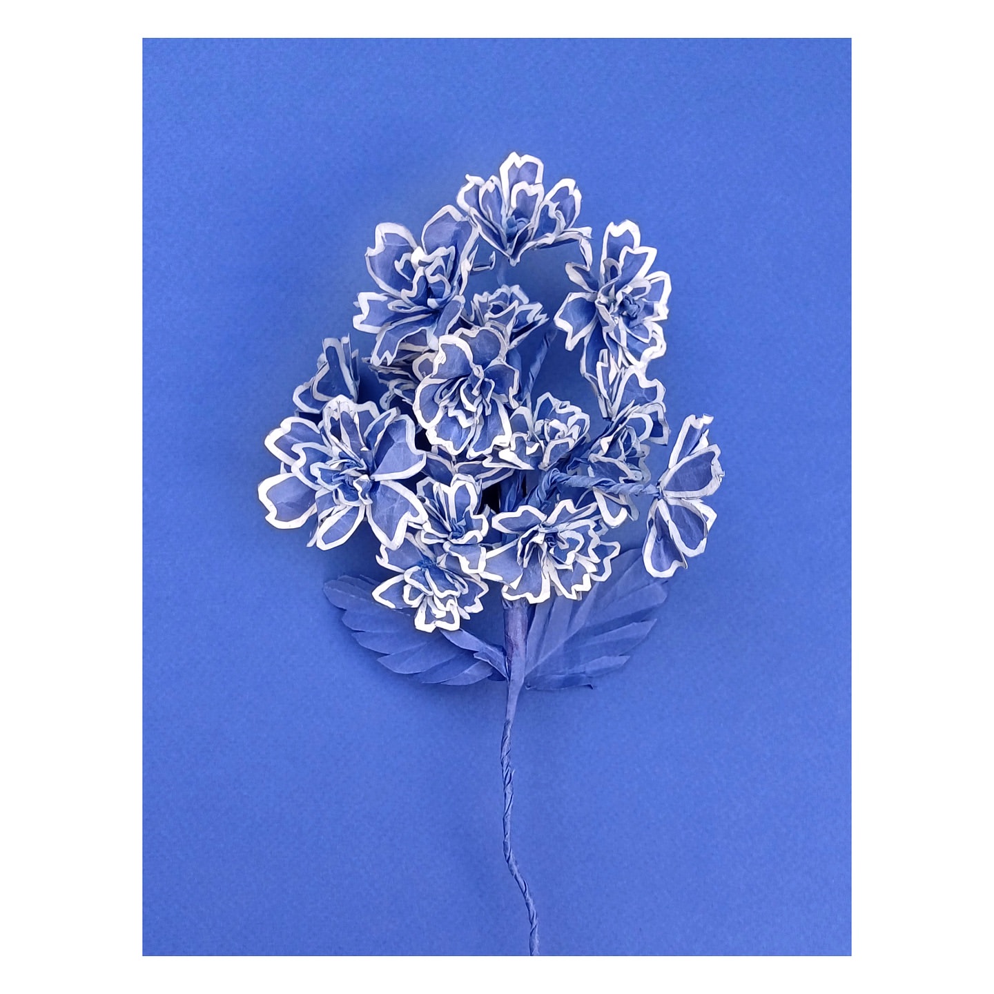 Blue flower arrangement against a blue background, featuring light blue petals with white trim and a textured stem and leaves.