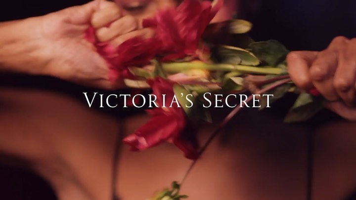 Close-up shot of a person holding red roses, featuring the Victoria's Secret logo in white text over a dark background.