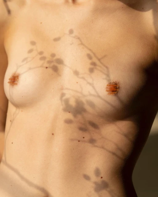 Close-up of a nude woman's torso with the shadow of a leafy branch projected across her chest in soft, diffused sunlight.