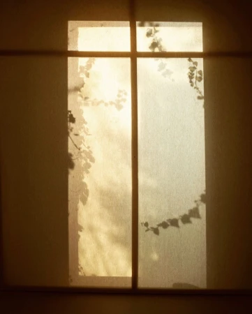 Sunlight streams through a window partially covered with climbing vines, casting intricate shadows on the surrounding wall, creating a bright, airy, natural atmosphere.