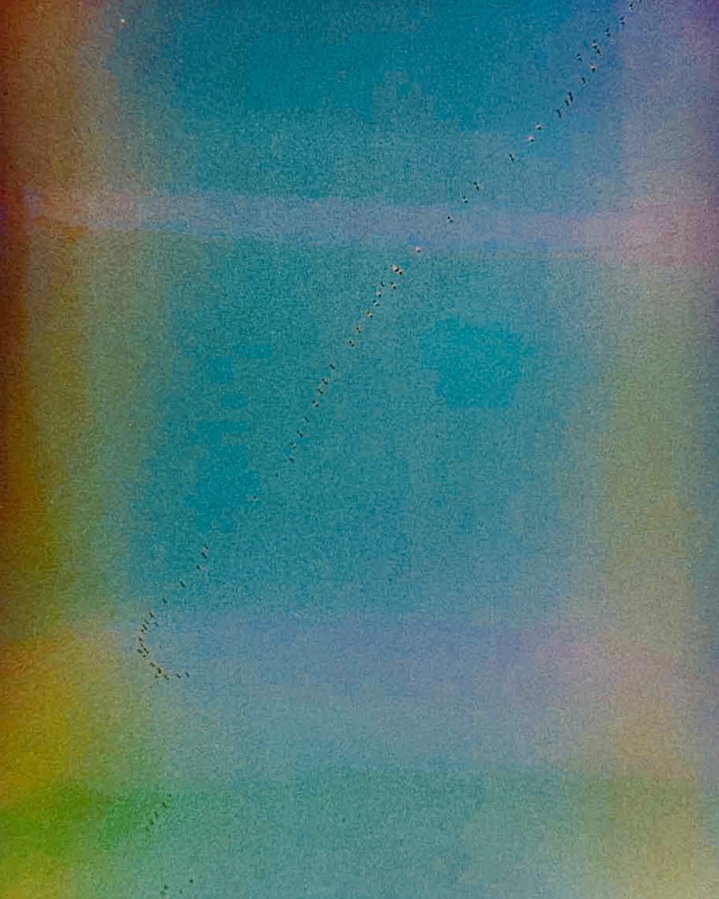 Flock of birds in flight forming a diagonal line in a soft-focus, abstract gradient background in shades of blue, green and yellow.