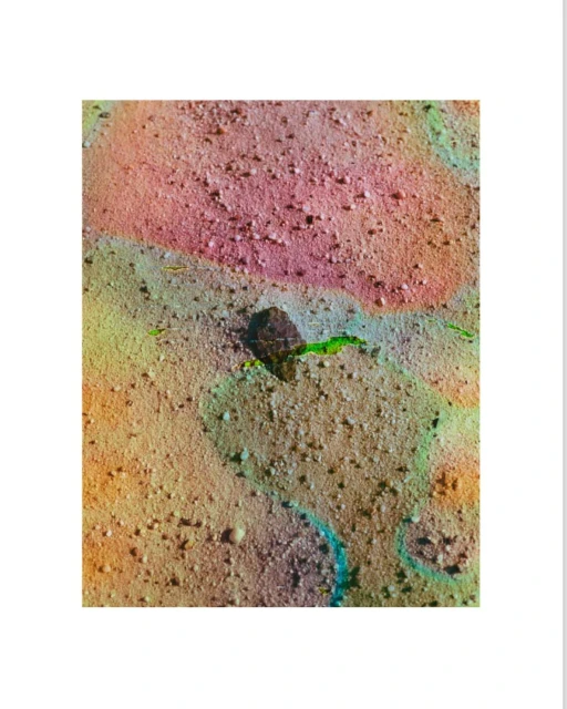 Close-up abstract image featuring rock fragment on a sandy surface with mottled colors of pink, yellow, brown, and turquoise.