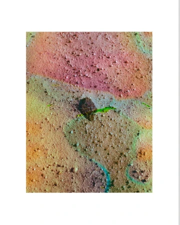 Close-up abstract image featuring rock fragment on a sandy surface with mottled colors of pink, yellow, brown, and turquoise.