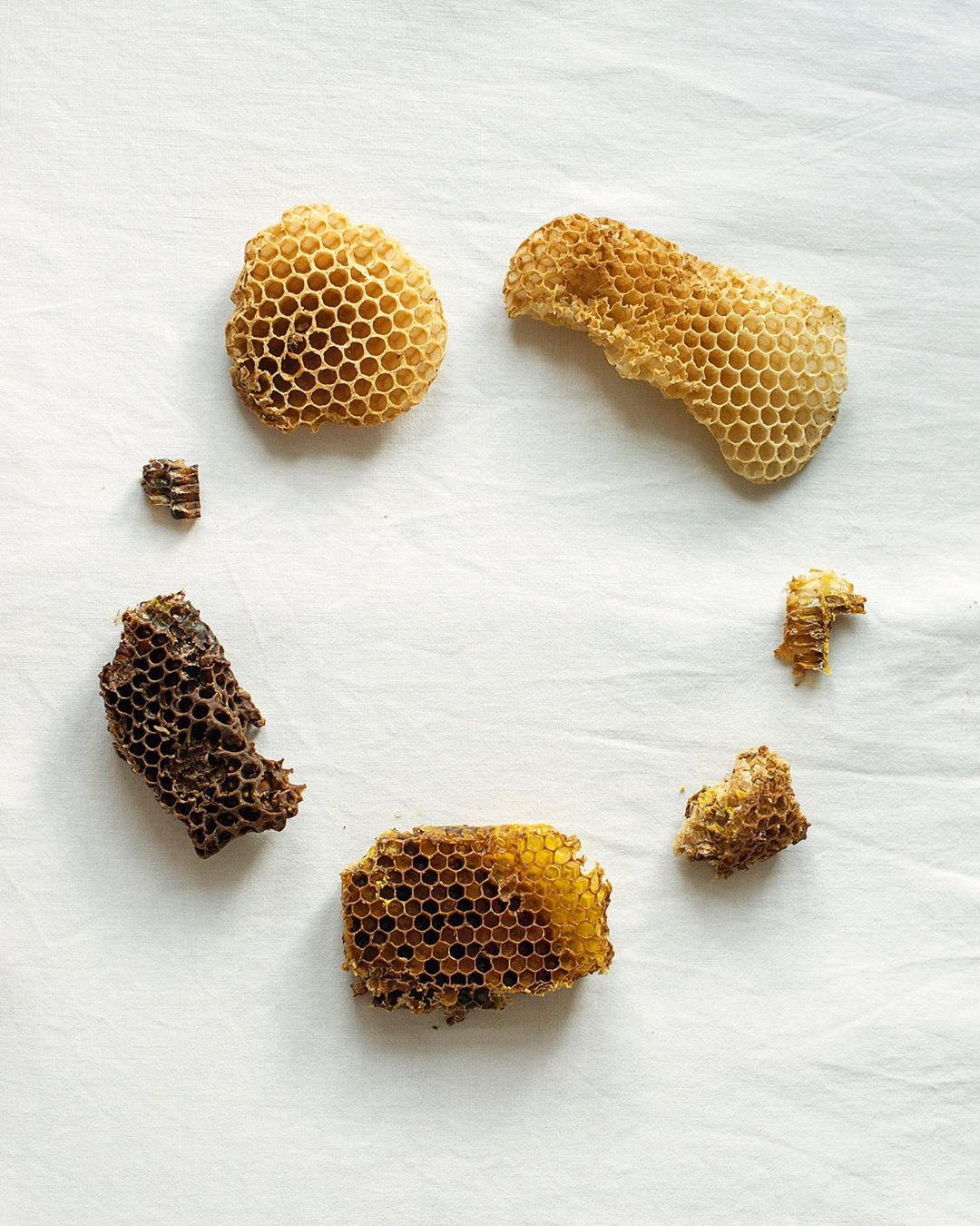 Several pieces of golden honeycomb arranged in a circular pattern on a white cloth surface in bright, natural lighting.