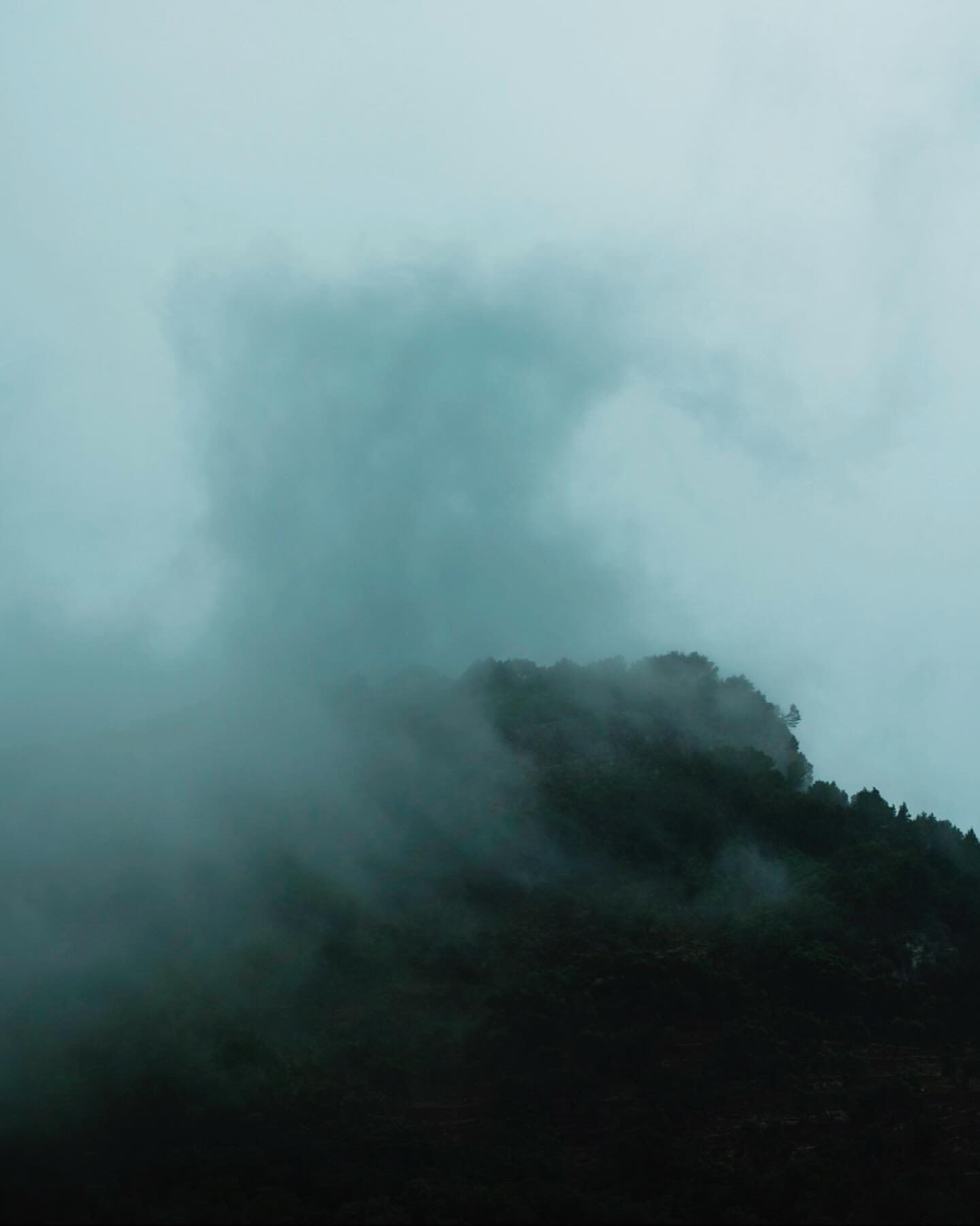 A serene landscape featuring a forest-covered hill shrouded in mist, creating an atmospheric and tranquil nature scene in muted tones.
