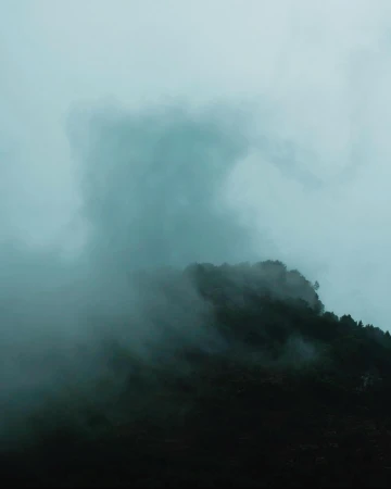 A serene landscape featuring a forest-covered hill shrouded in mist, creating an atmospheric and tranquil nature scene in muted tones.