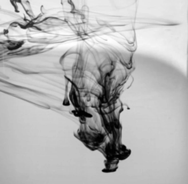 Monochromatic image of black ink swirling in water against a white background, creating abstract shapes and a sense of motion.