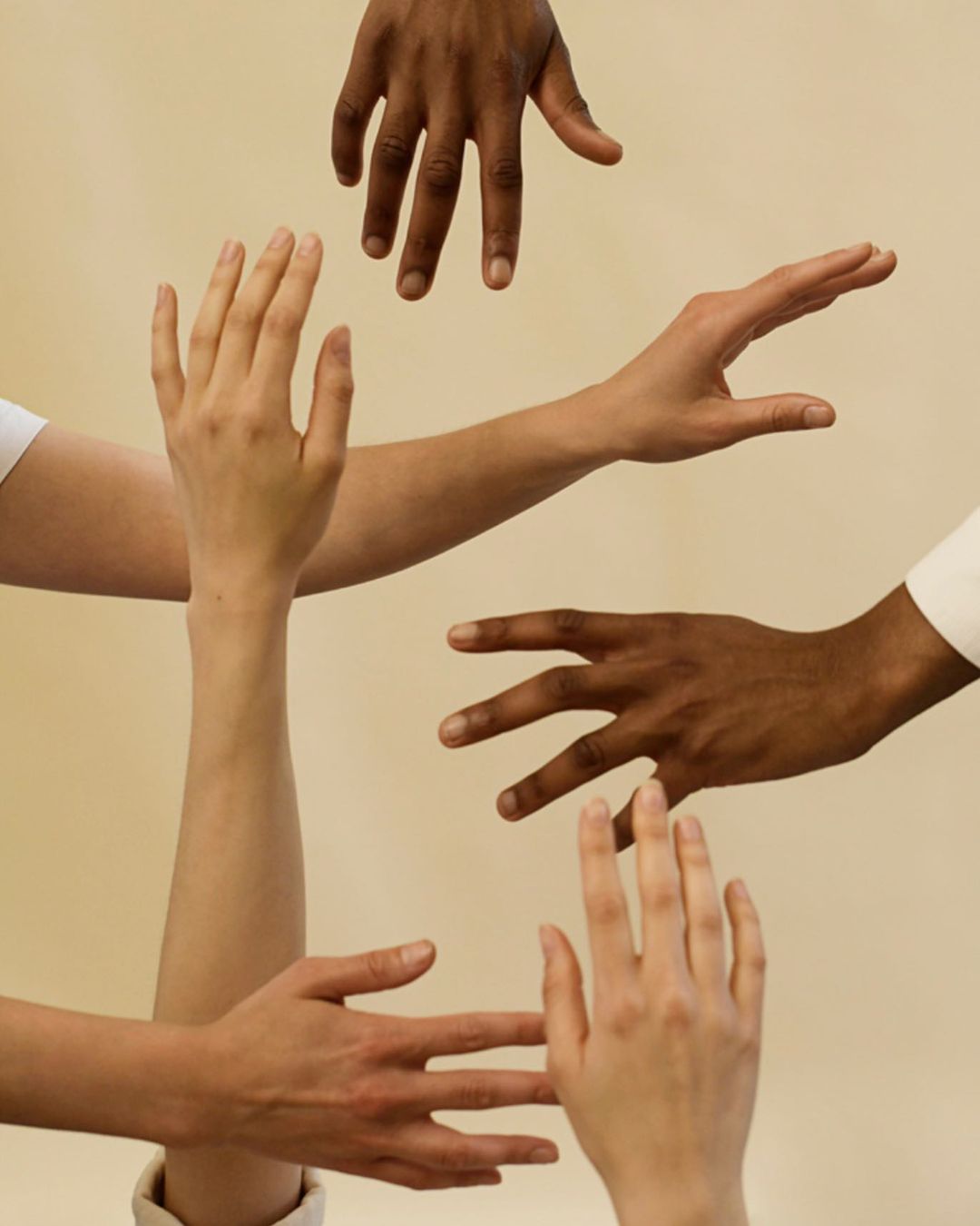 Multi-ethnic group of arms and open hands in a circle, showing racial diversity, inclusivity, and connection in a light studio.