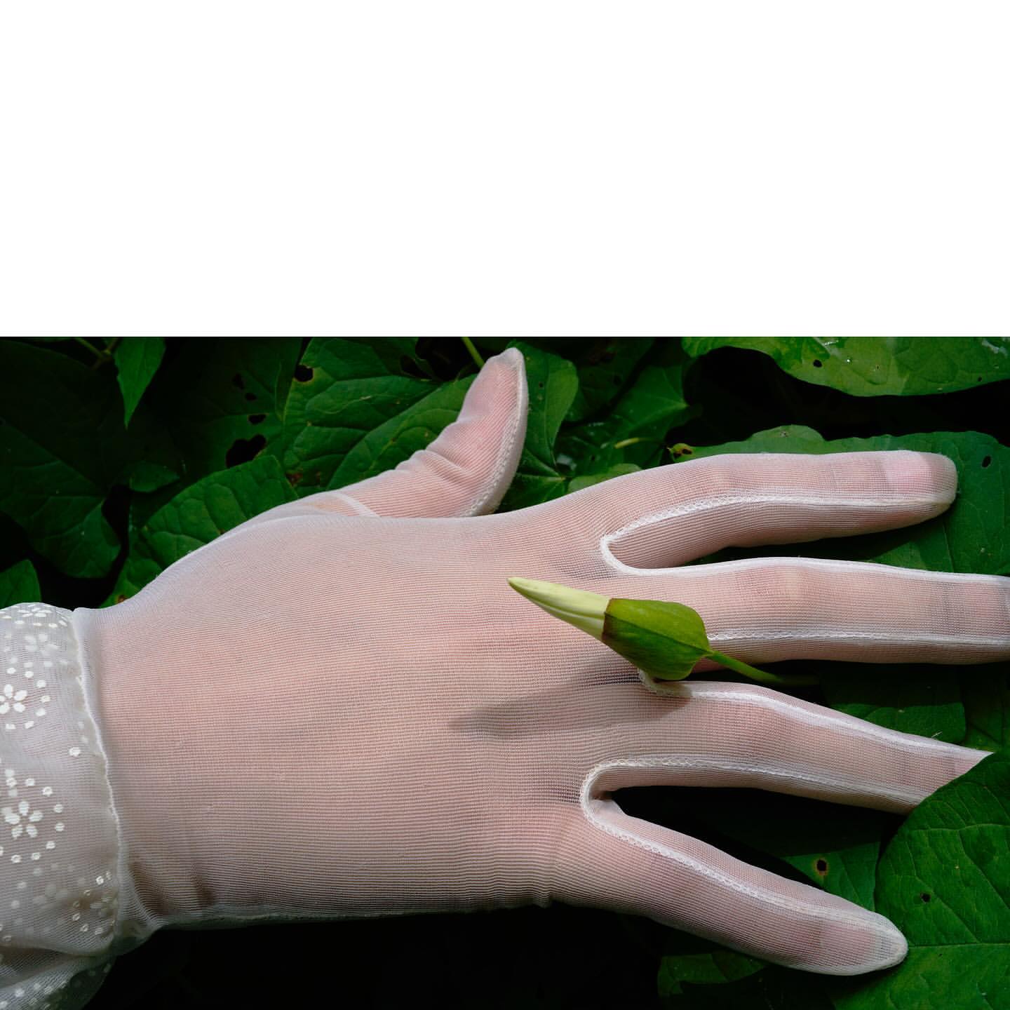 Hand in sheer white glove holds a green flower bud against leafy background in an eye-level, medium shot with natural lighting.