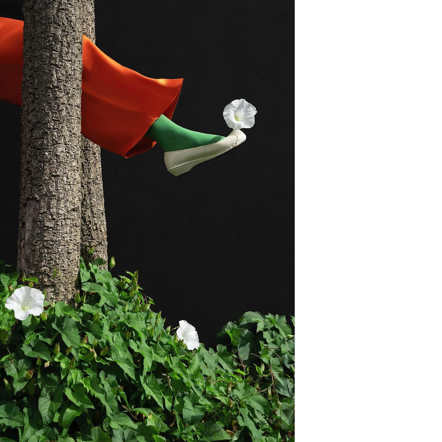 Whimsical outdoor scene: person in orange fabric and green socks holding white flower by their foot, tree trunks, green foliage, black backdrop.