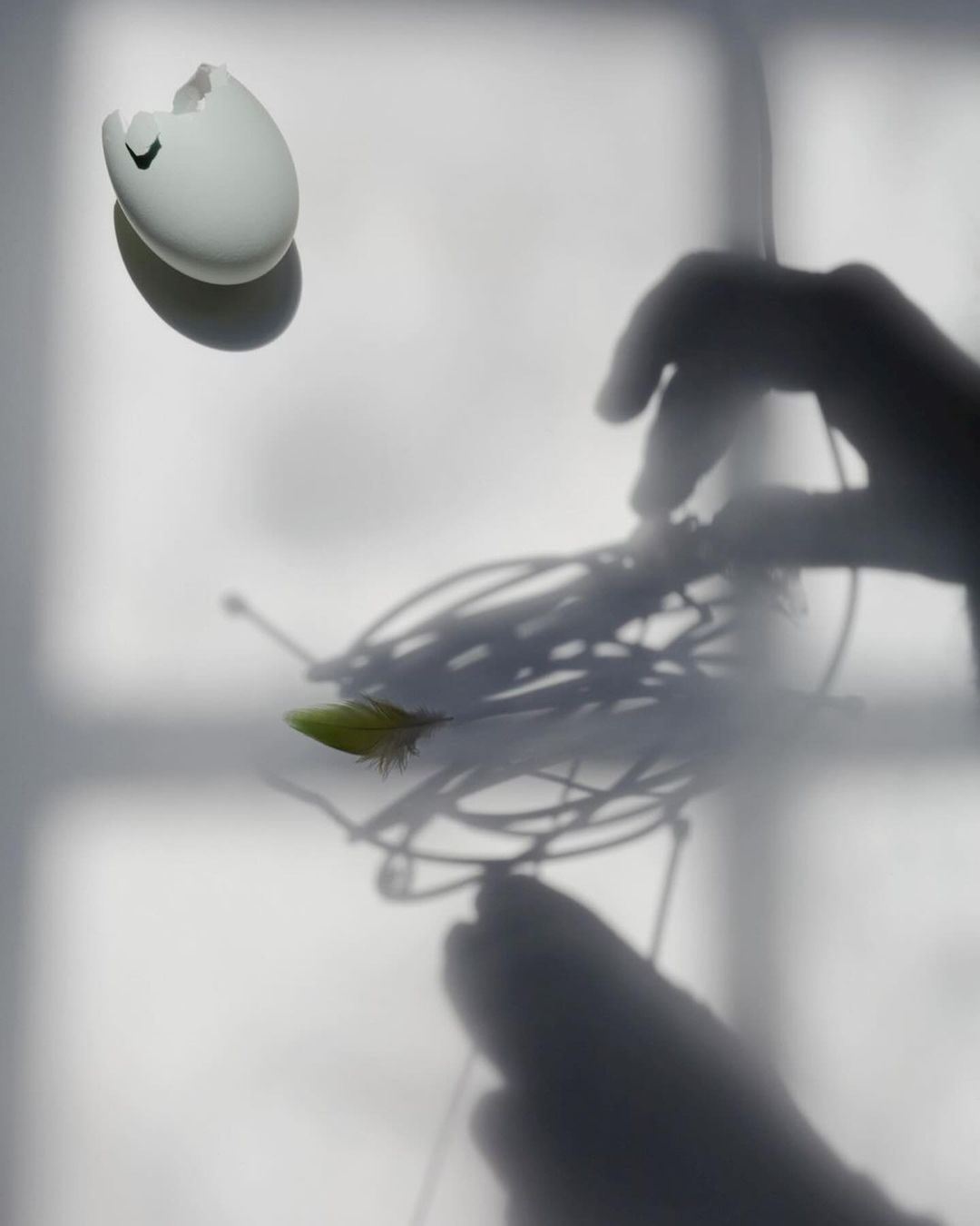 Abstract composition with a broken eggshell, feather, and human hand shadow against a neutral background with diffused lighting.