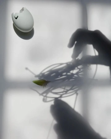 Abstract composition with a broken eggshell, feather, and human hand shadow against a neutral background with diffused lighting.