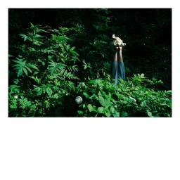 Legs of a person wearing blue striped trousers emerging upside down from dense green foliage in Paris by Annabel Elston