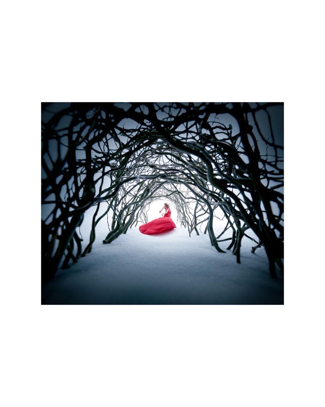 A woman in a red gown stands in a snow-covered landscape beneath an archway of bare, tangled tree branches, creating a tunnel effect.
