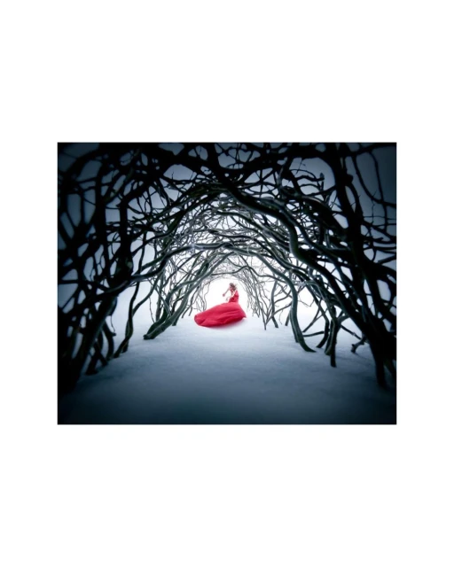 A woman in a red gown stands in a snow-covered landscape beneath an archway of bare, tangled tree branches, creating a tunnel effect.