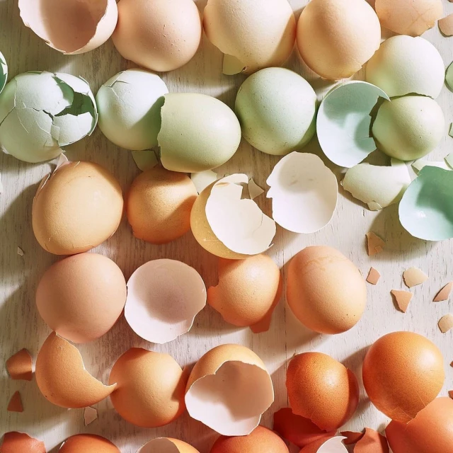 Overhead shot of rows of whole and cracked eggs in various colors and sizes on a white wooden surface for culinary or Easter concepts.