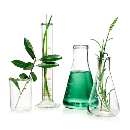 Laboratory glassware filled with water and various green plants on a white background, suitable for science and wellness concepts.