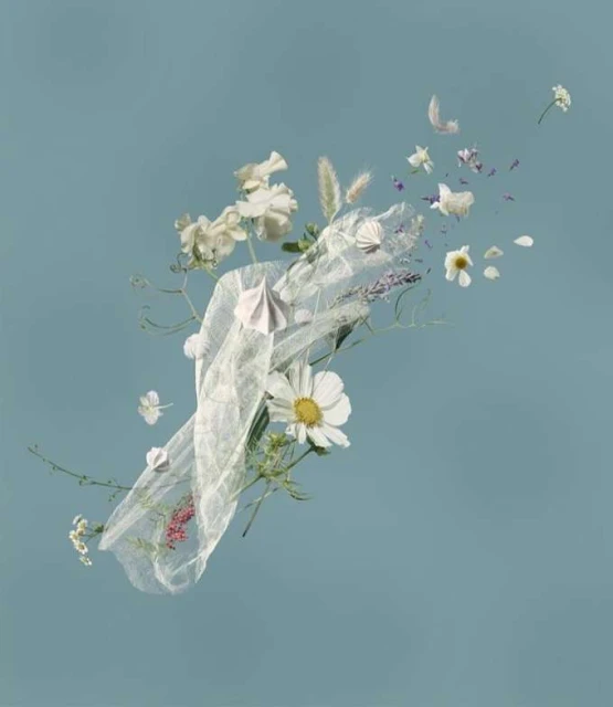 Floral arrangement featuring white daisies, lisianthus, and lavender, wrapped in sheer white fabric, set against a light blue backdrop.