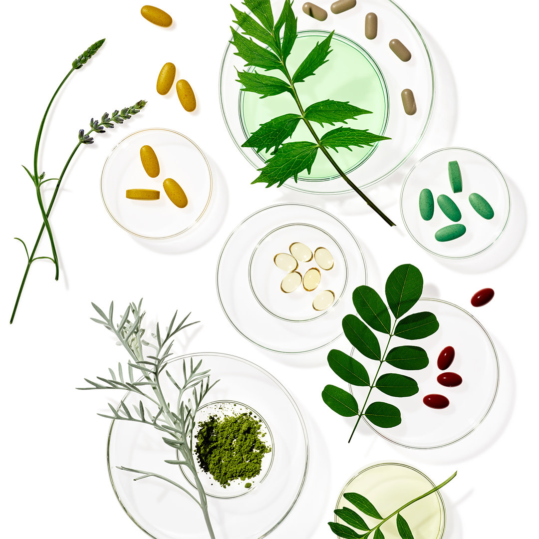 Overhead shot of colorful pills and medicinal herbs in petri dishes on a clean white background, pharmaceutical and natural medicine concept.