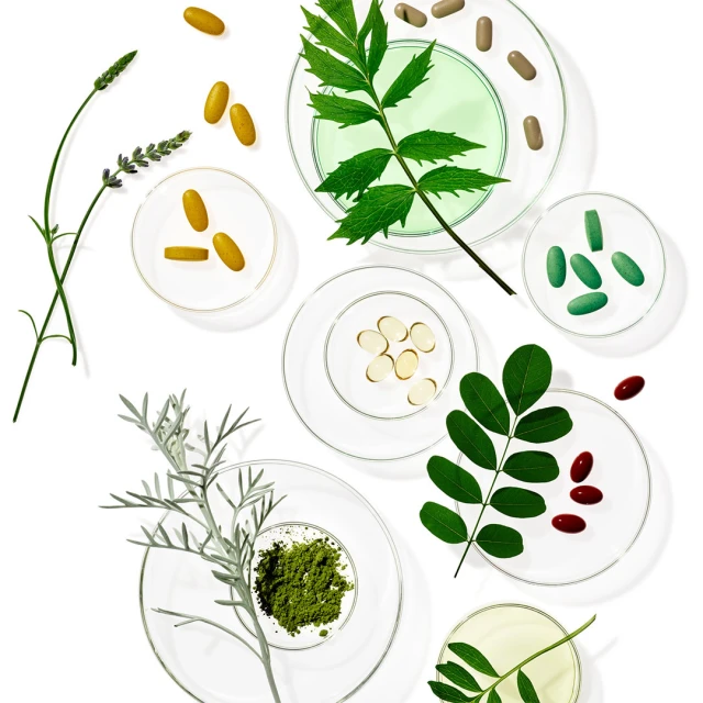 Overhead shot of colorful pills and medicinal herbs in petri dishes on a clean white background, pharmaceutical and natural medicine concept.