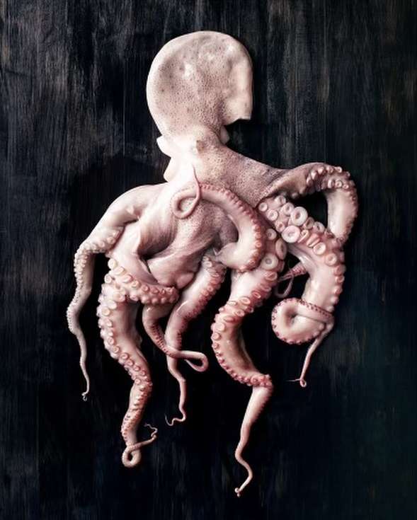 Overhead shot of a pale pink octopus on a dark wood surface. The marine animal is centered with its tentacles artfully arranged.