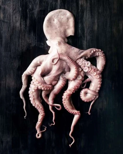 Overhead shot of a pale pink octopus on a dark wood surface. The marine animal is centered with its tentacles artfully arranged.